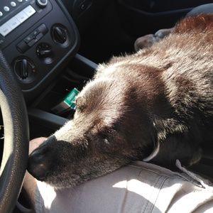 Meet your Posher, Eric